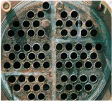 
Calcified tubular heat exchanger
